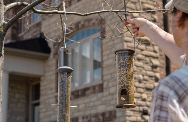 istock Woman is hanging bird feeder on tree branches in front of a house 1491068948