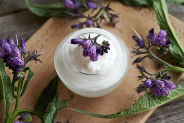 istock A jar of homemade comfrey root cream with fresh Symphytum plant 1491069331