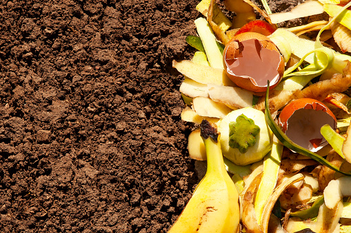 Compost and composted soil. Organic waste for composting on the soil. Composting of leftover organic products. Natural fertilizer. copy space.