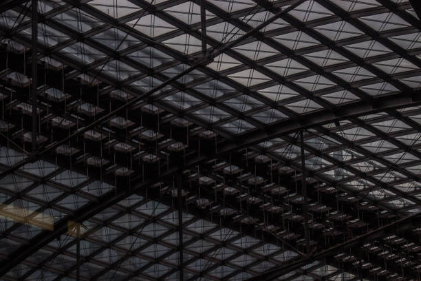 istock Steel roof construction 1491072731
