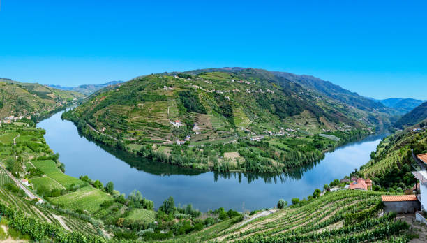 curva del río duero en mesao frio en la región de oporto - portugal port wine porto the douro fotografías e imágenes de stock