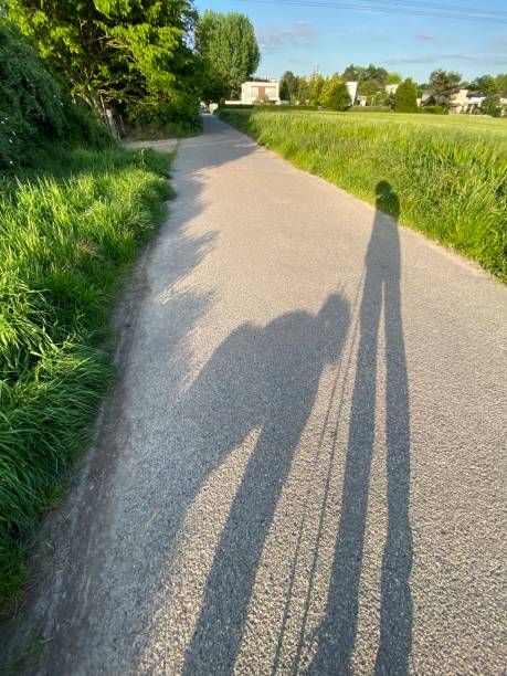 istock Long shadows of dog and man 1491076386