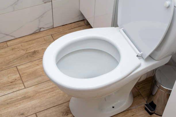 istock white toilet bowl, toilet, lavatory, 1491077782