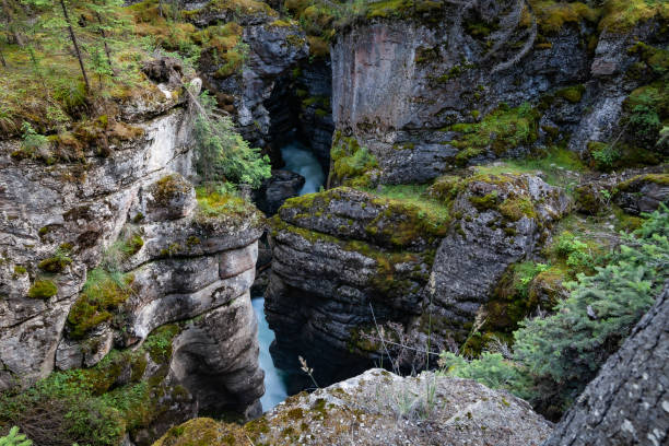istock The waterfall that flows from the rocks. Jasper National Park Alberta, Canada. 1491081227