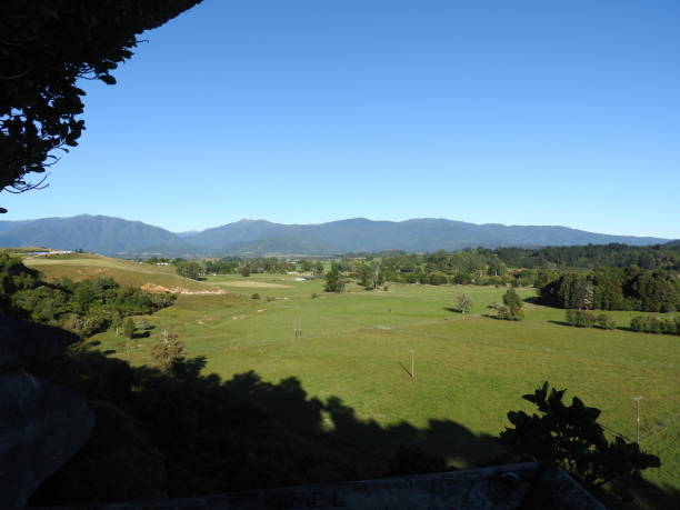 istock New Zealand 1491081574