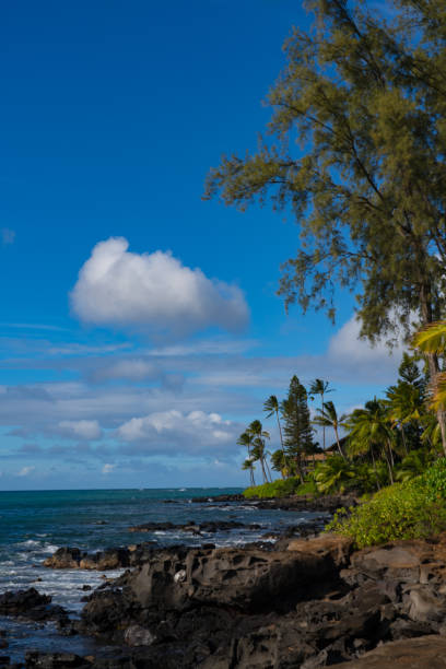 istock Island of Maui Hawaii 1491084392