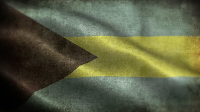 Closeup of grunge Bahamas waving flag loopable stock video