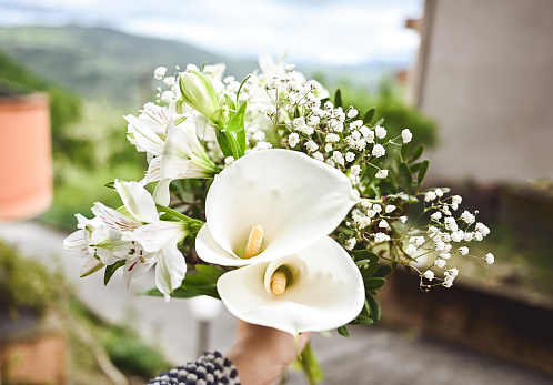 close up of Calla flower bouquet.