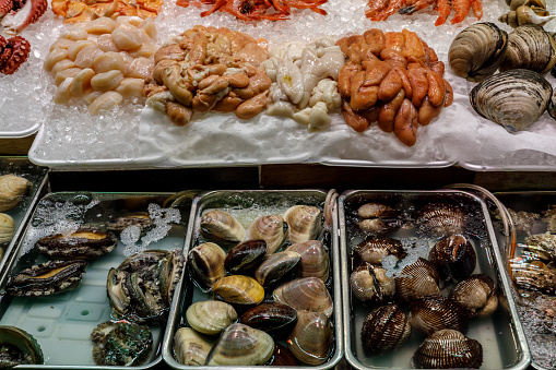 Assorted of sea shells food