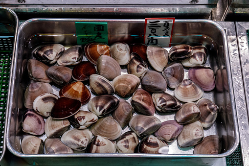 Fresh clams on the display tray
