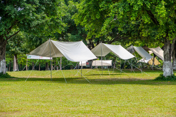 istock Camping tents on the park lawn 1491092034