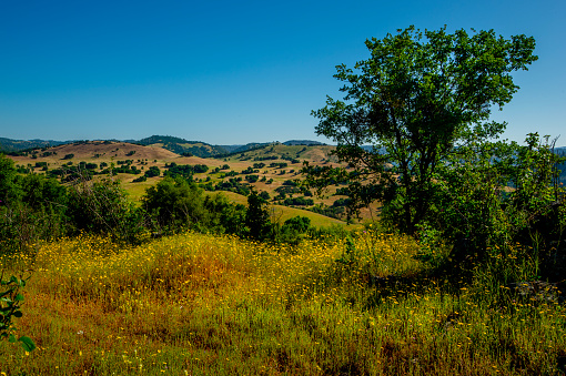 Bench overlooking Cronan Ranch Regional Park, California Gold Country.