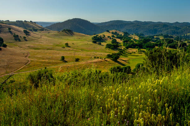 istock Cronan Ranch Park, Northern California. 1491092657