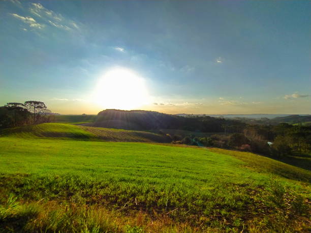 istock Santa Catarina Rural Landscape 1491092934