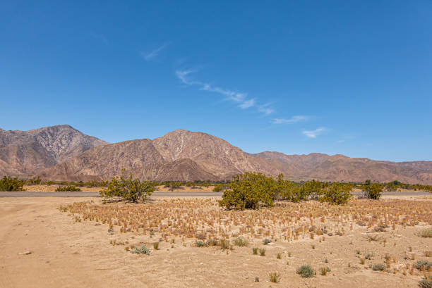 istock Road through desert landscape at Borrego Springs, CA, USA 1491094501