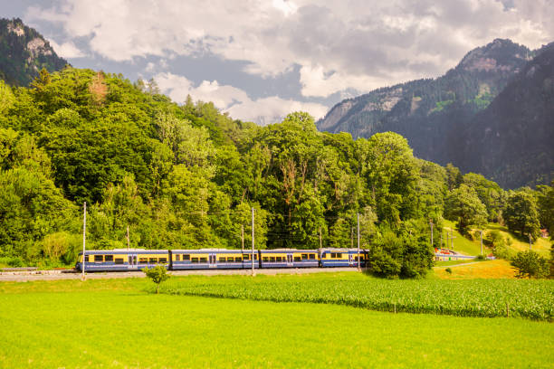 tren en las montañas de suiza. interlaken. lauterbrunnen. cantón de berna - interlaken railroad station train rural scene fotografías e imágenes de stock