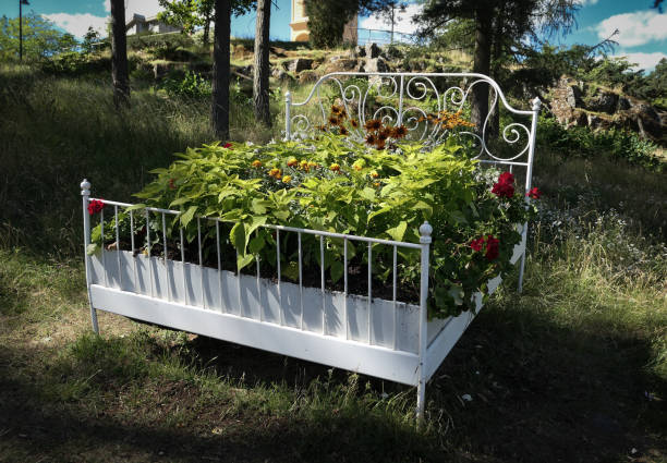 flowers growing in an old bed frame outdoors