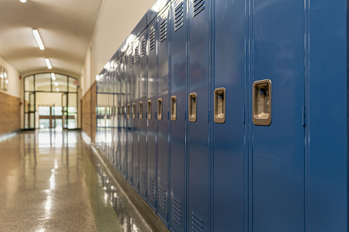 Blue metal lockers along a nondescript hallway, with windows, in a typical US High School. No identifiable information included and nobody in the hall.