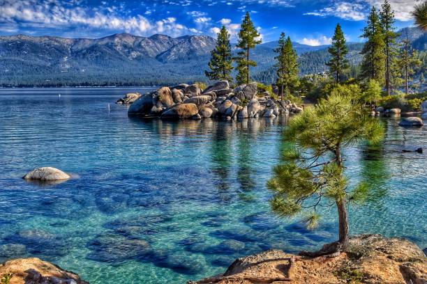 istock Lake Tahoe Colors 1491101052