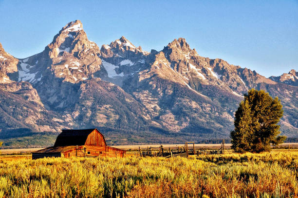 teton matin - wyoming teton range jackson hole autumn photos et images de collection