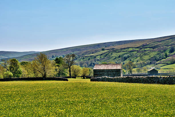 istock Old stone barn on a grassy meadow 149110654