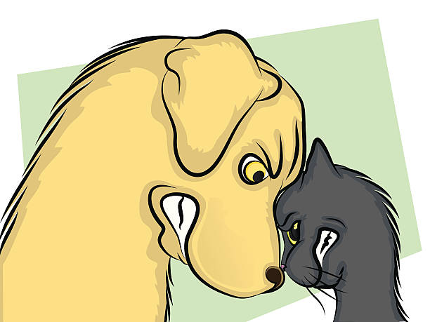 Arrabbiato cane e gatto - illustrazione arte vettoriale