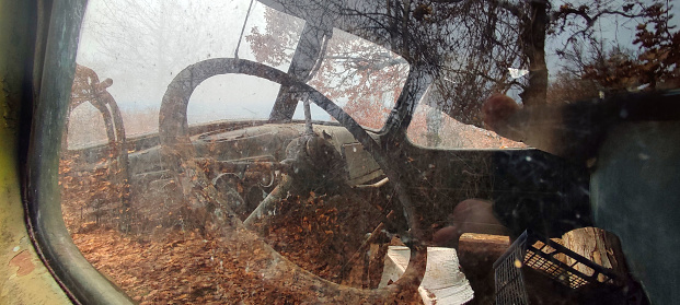 A close-up of an old vehicle's window reveals a steering wheel inside, with a reflection of an autumnal landscape. A captivating blend of vintage charm and seasonal scenery