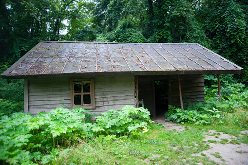 Old abandoned village wooden house in the green tree area.