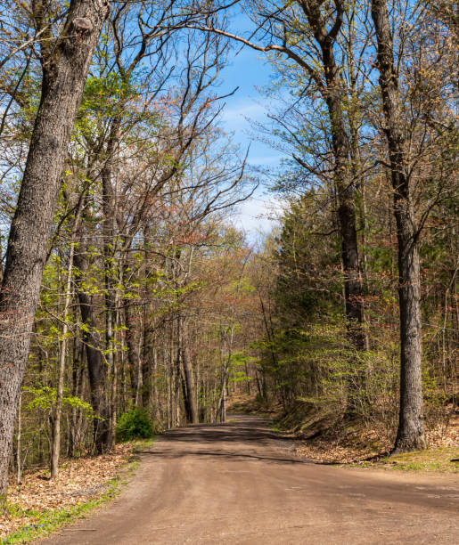 istock A dirt road in Pennsylvania, USA 1491115625