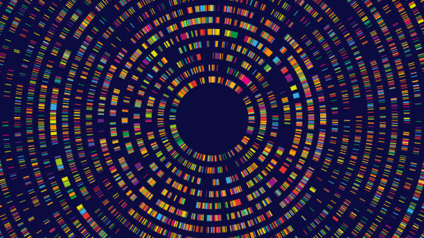 infografik zum dna-test. genomsequenzkarte, radiales zweidimensionales barcoding und abstrakte hintergrundillustration des big-data-strukturvektorkonzepts - chromosome stock-grafiken, -clipart, -cartoons und -symbole