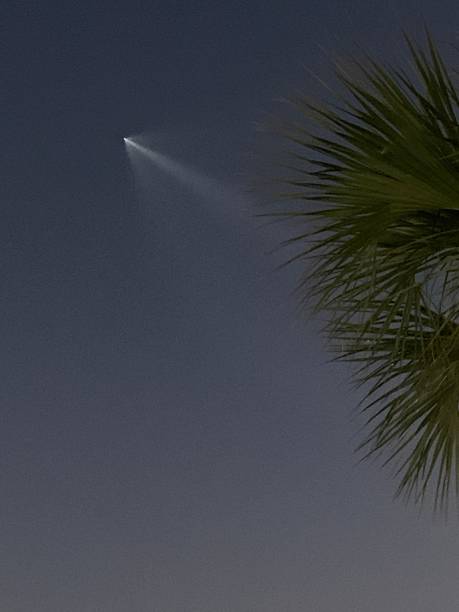 パルメットの木とサウスカロライナ州の海岸を通過する日没時のスペースxロケット - day vertical palmetto south carolina ストックフォトと画像