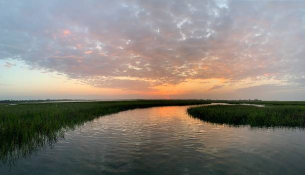 nascer do sol sobre murrells inlet, south carolina marsh - estuary - fotografias e filmes do acervo