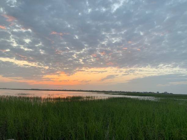 istock Pastel sunrise over marsh with green grass and puffy clouds 1491118457