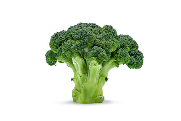 istock Isolated green raw broccoli cabbage on white background 1491120060