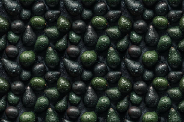 Wet Avocado symmetrical seamless pattern, fruit background