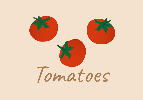 Set of fresh healthy red tomatoes made in flat style. Great for design of healthy lifestyle or diet. Vector illustration