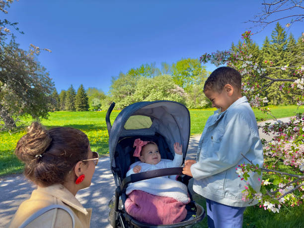 Boy and his baby sister in the park brothers, mother, affection, park, nature 6 9 months stock pictures, royalty-free photos & images