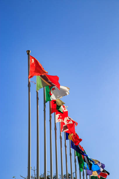 istock A row of national flags 1491142803