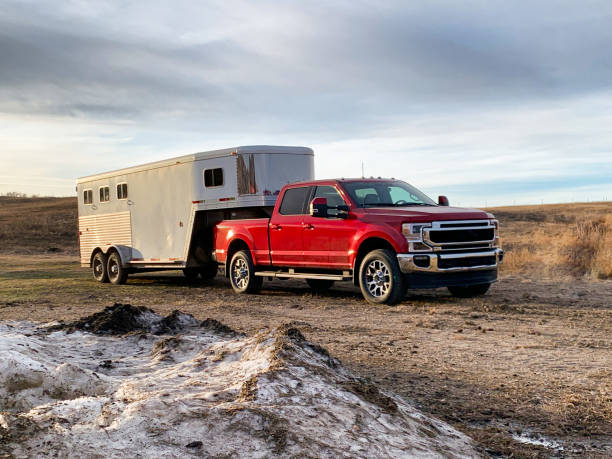 Pickup and Horse Trailer Red maroon one ton pickup truck hooked up to gooseneck slant load horse trailer. trailer stock pictures, royalty-free photos & images