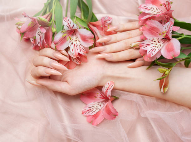 istock Elegant pastel pink natural manicure. 1491147263