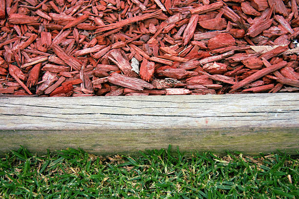 Wood chip garden stock photo