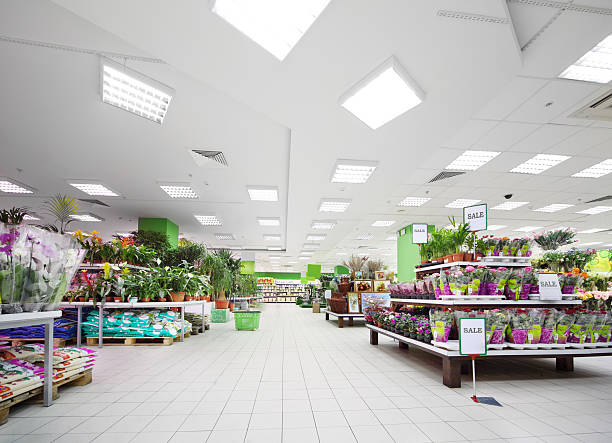 Shelves with variety of pottery plants inside supermarket stock photo