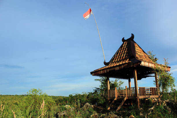 a hut on a hill with the Indonesian flag fluttering above it