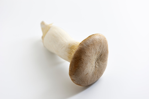 High angle view of king oyster mushroom, isolated on white with clipping path.