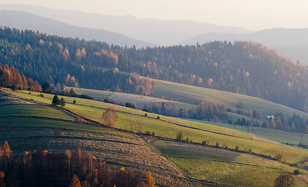 istock Autumn field at sunset in mountains 149116520