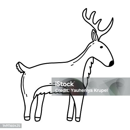istock Childrens illustration of reindeer isolated on white white background. Cute hand drawn reindeer in doodle style. 1491165425
