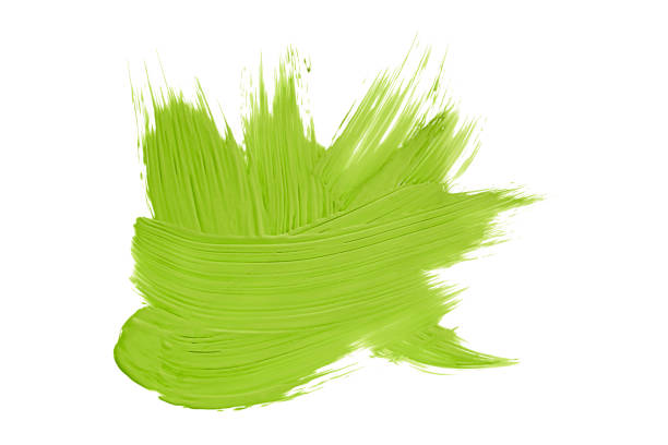 istock Green brush isolated on white background. Lime green. 1491167204