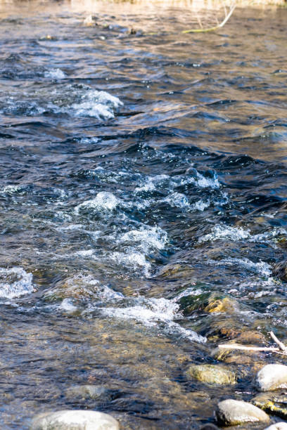 istock Water flowing on a river stream creek 1491167692