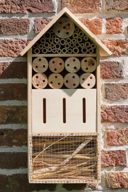 istock An insect hotel or bee hotel on a brick wall 1491169652