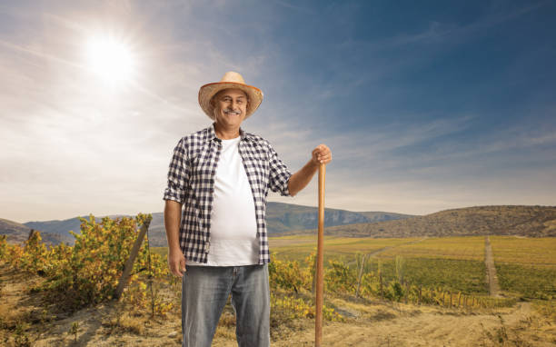 istock Mature farmer with a shovel standing on a field 1491175703